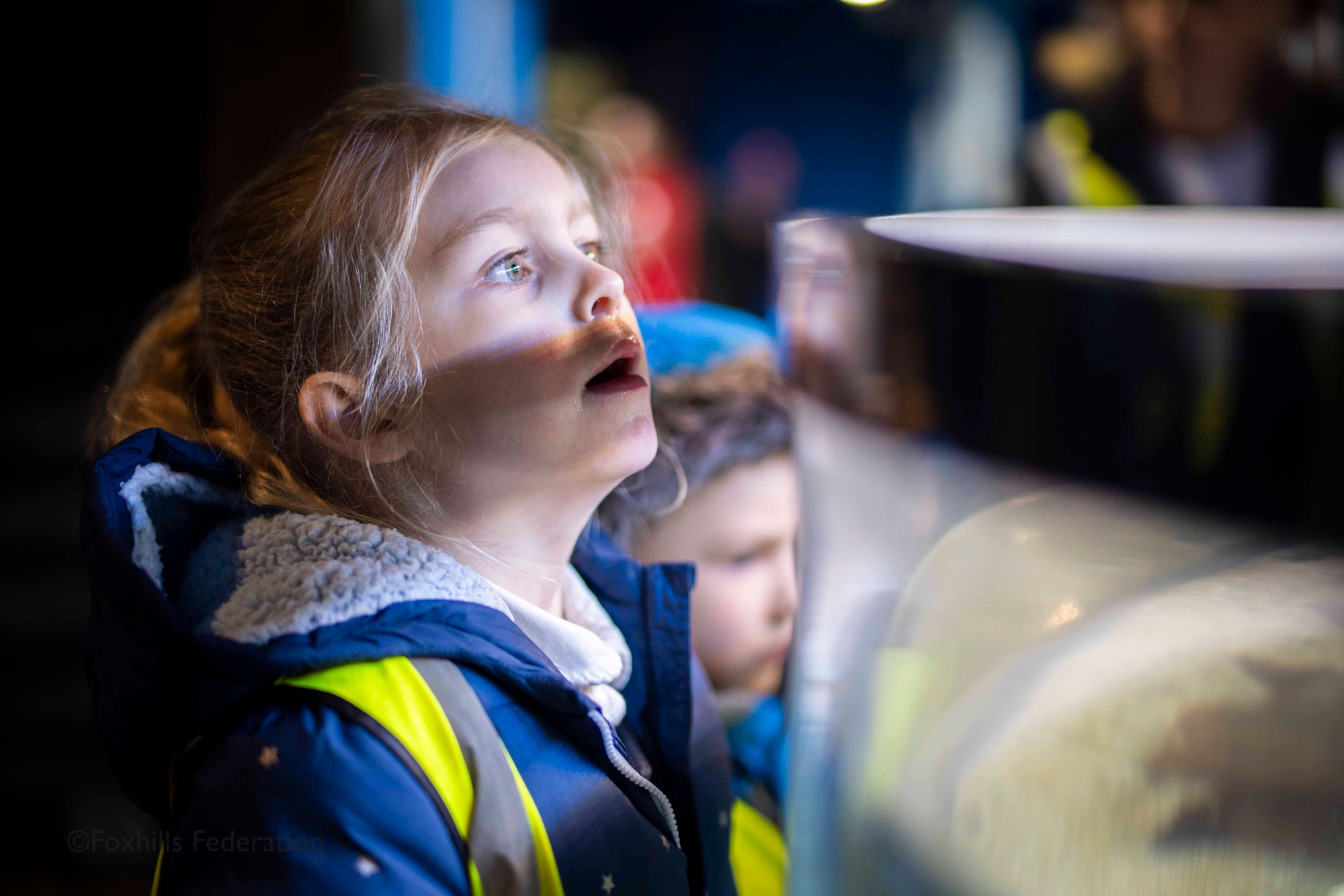 A girl stares into a tank of fish with a shocked look on her face.