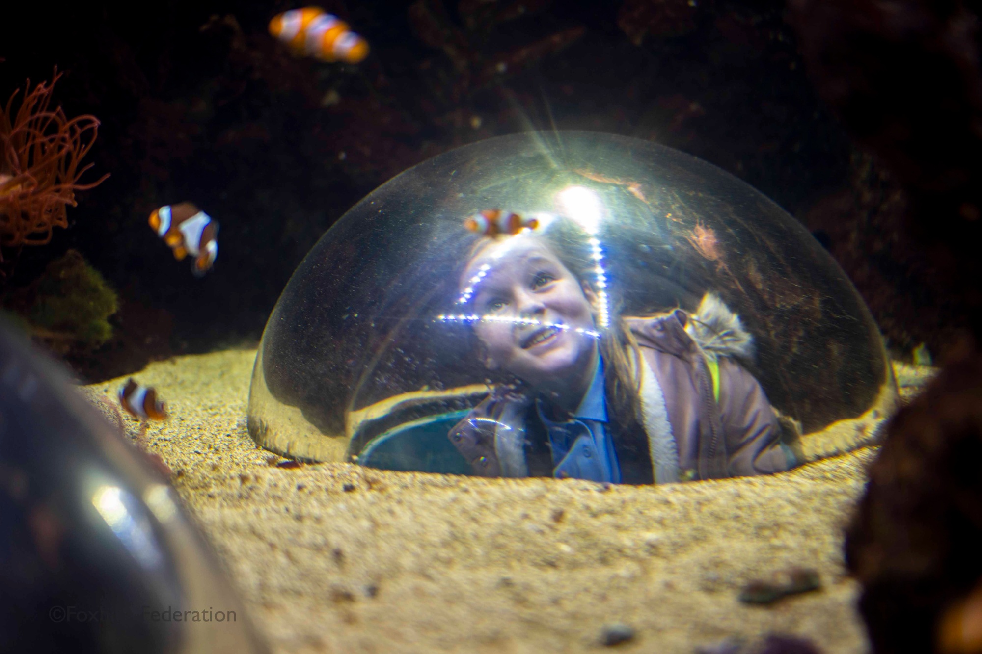 A girl in a glass bubble looks in amazement at the fishes around her.